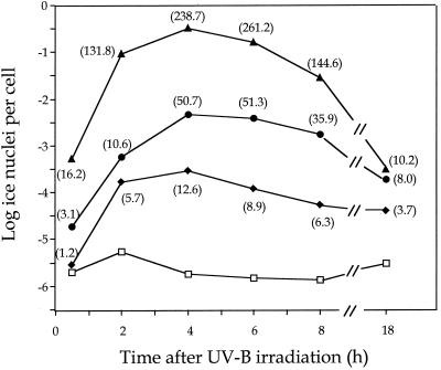 FIG. 4