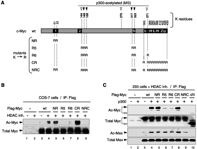 FIG. 4.