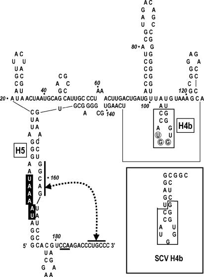 FIG. 7.