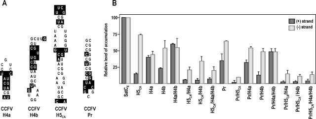 FIG. 4.