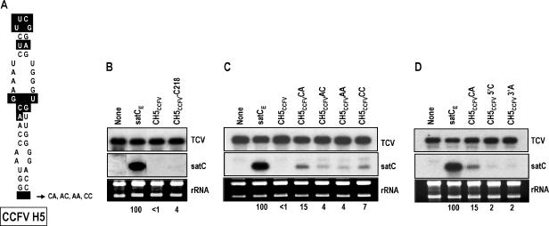 FIG. 3.