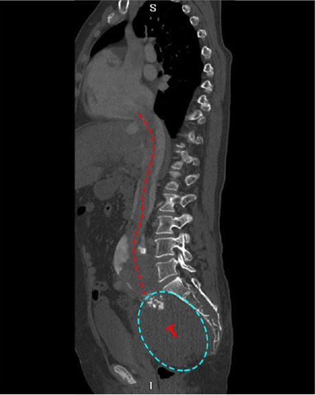 Fig. 4.