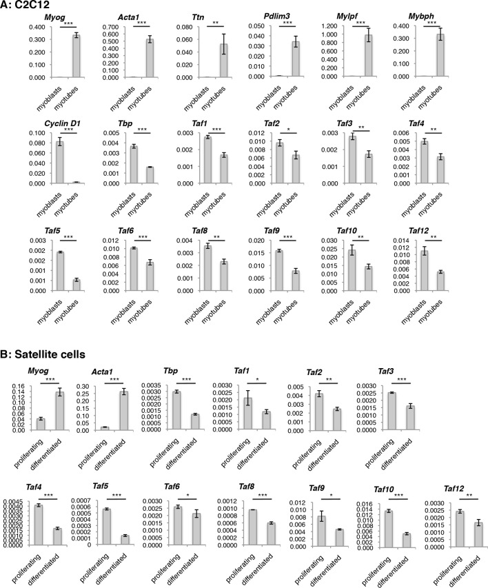 Figure 4—figure supplement 1.