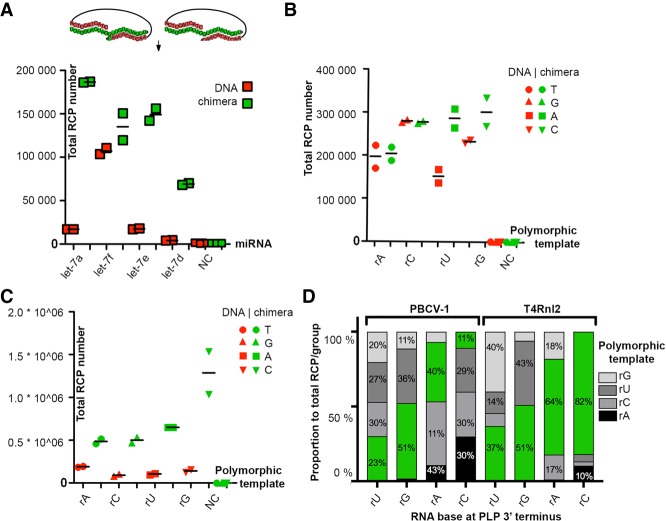 Chimeric padlock and iLock probes for increased efficiency of targeted ...