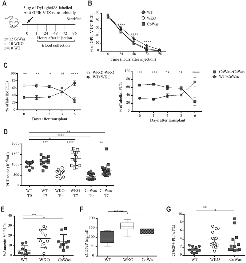 FIG 3.