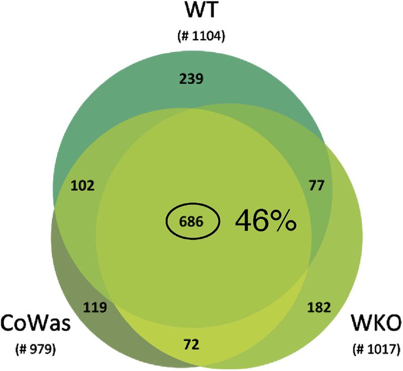 FIG 4.