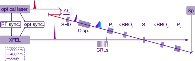 Fig. 1