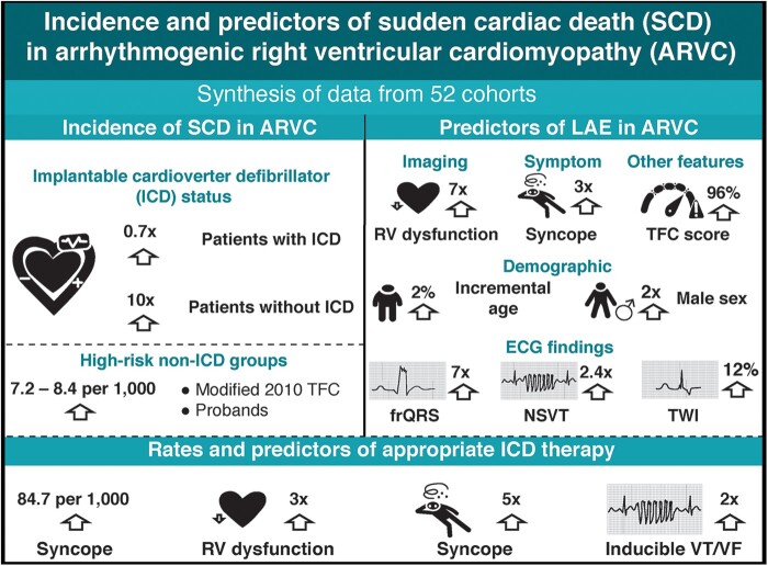 Graphical Abstract