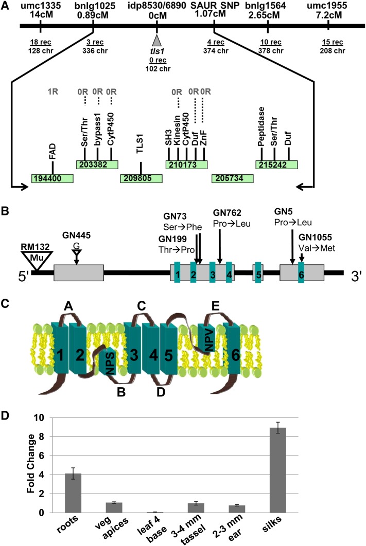 Figure 5.