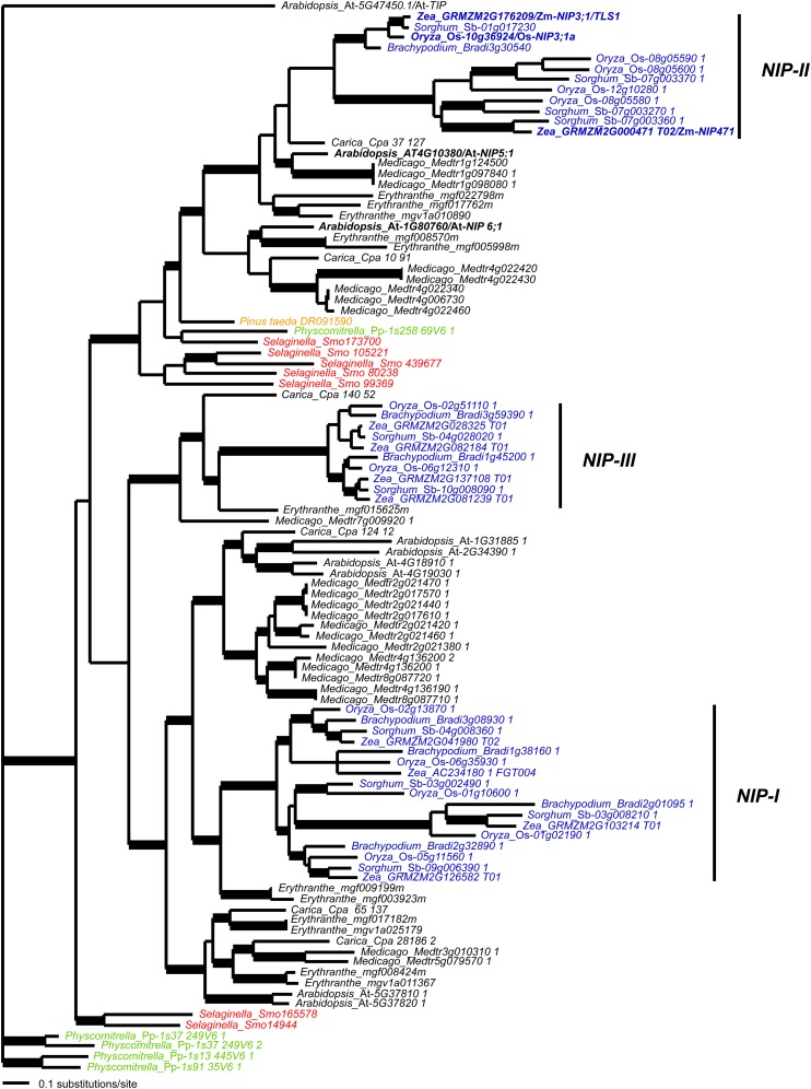 Figure 6.