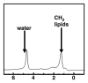 Figure 9b