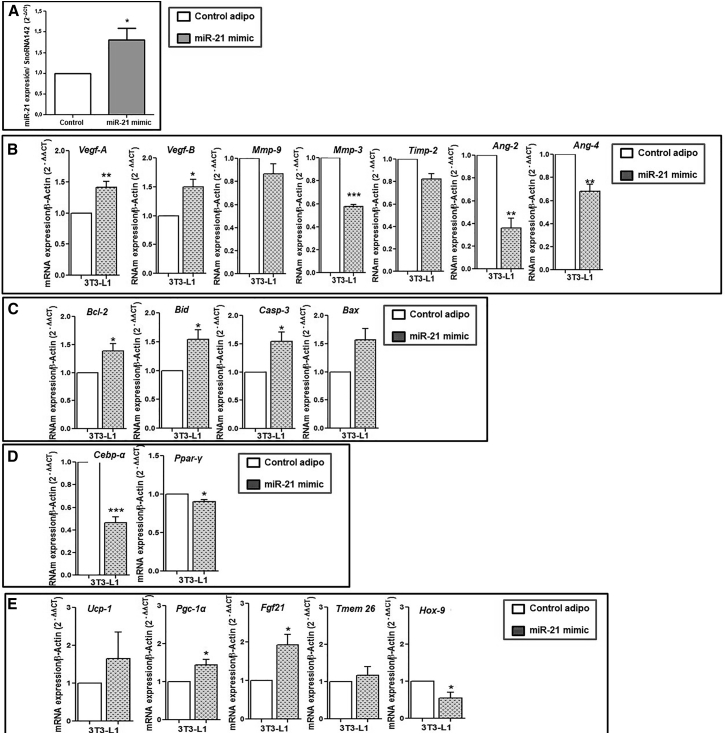 Figure 2