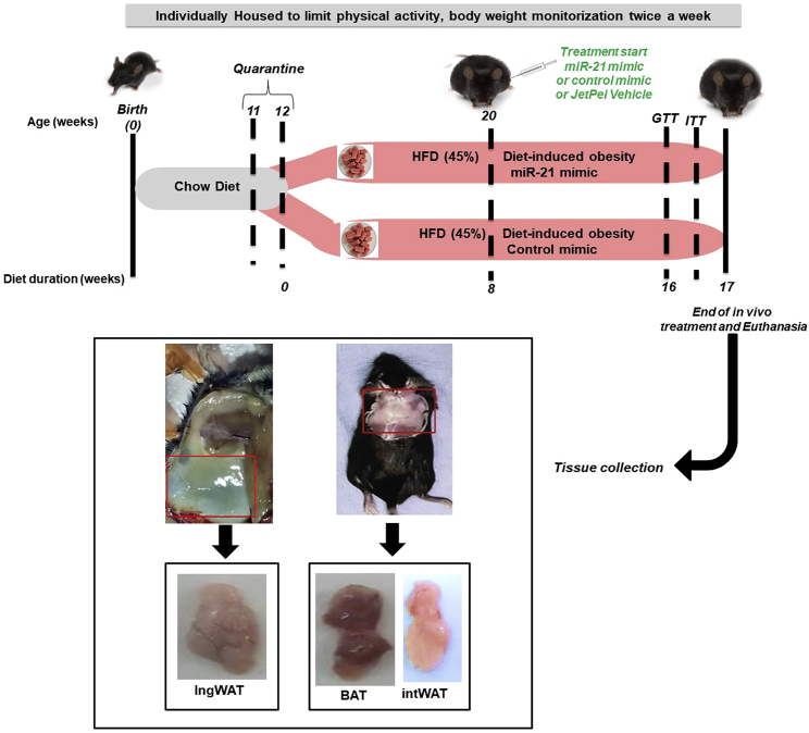 Figure 3