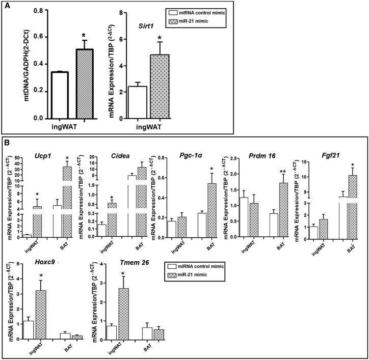 Figure 7