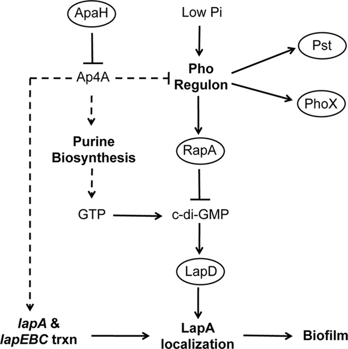 FIG. 9.