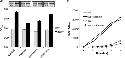 FIG. 8.