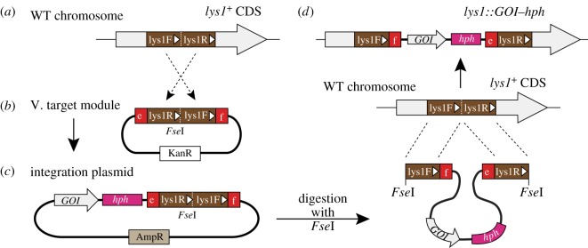 Figure 4.