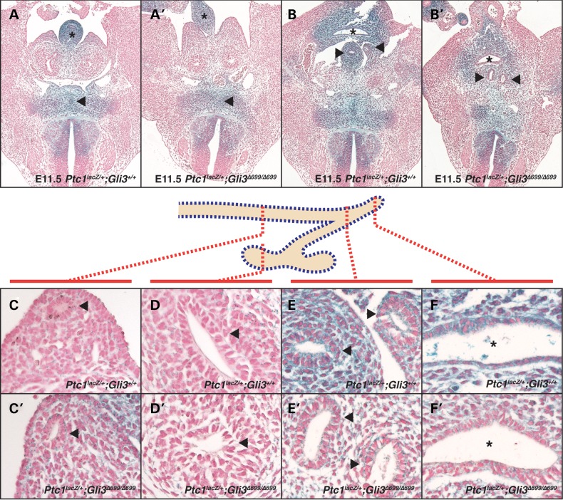 Figure 4.