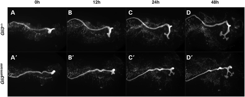 Figure 3.