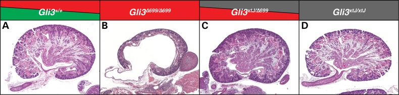 Figure 7.