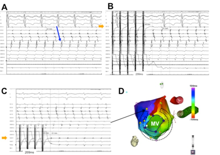 Figure 5.