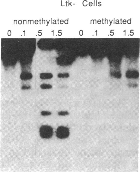 graphic file with name pnas01065-0139-a.jpg