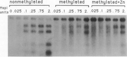 graphic file with name pnas01065-0140-a.jpg