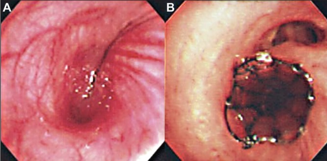 Figure 2)