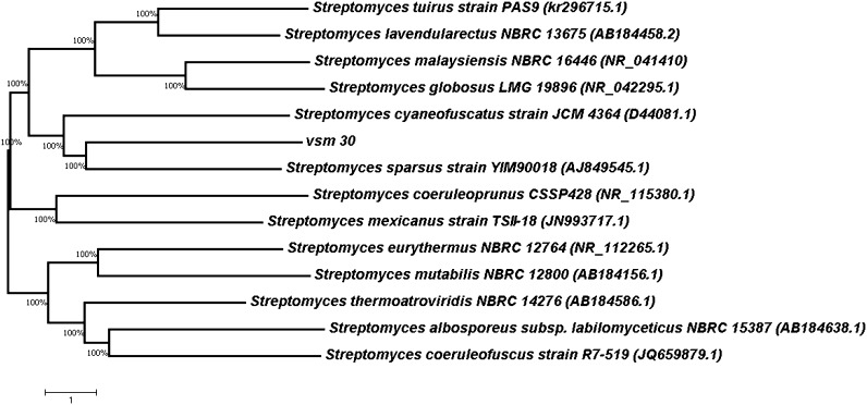 Fig. 2