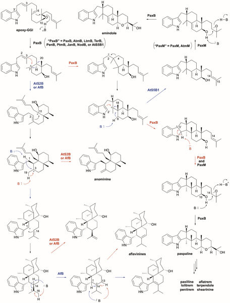 Fig. 15