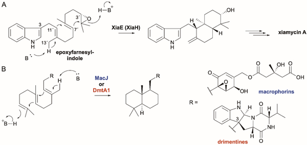 Fig. 16