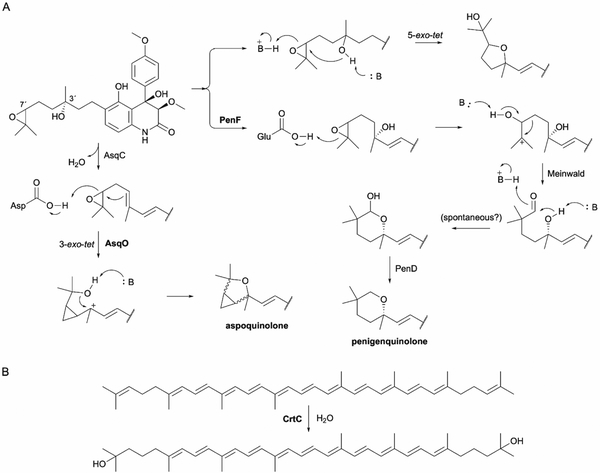 Fig. 13