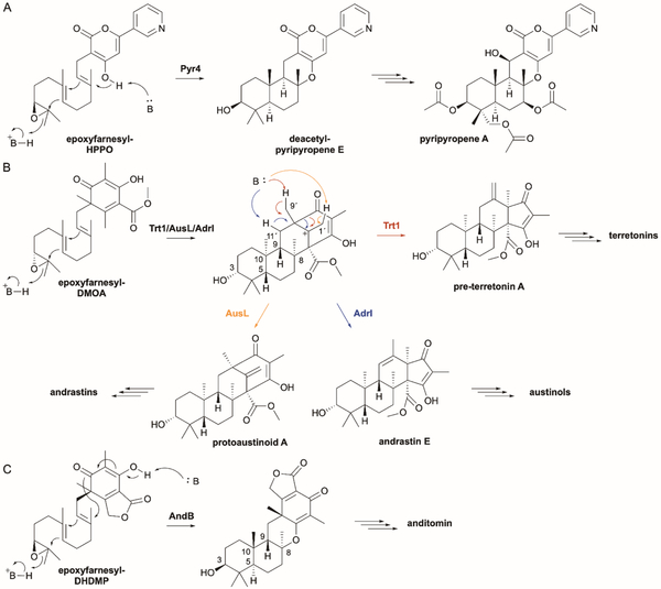 Fig. 14