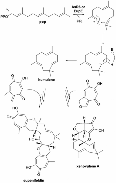 Fig. 18