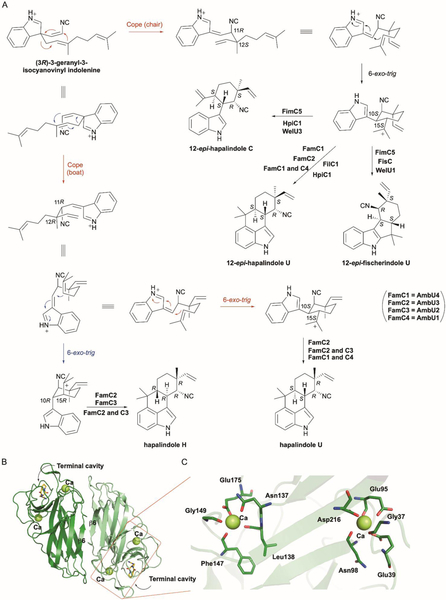 Fig. 19