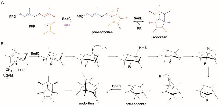 Fig. 7