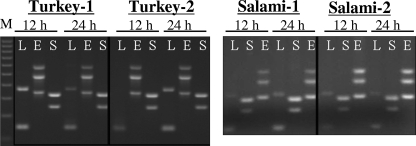 FIG. 5.