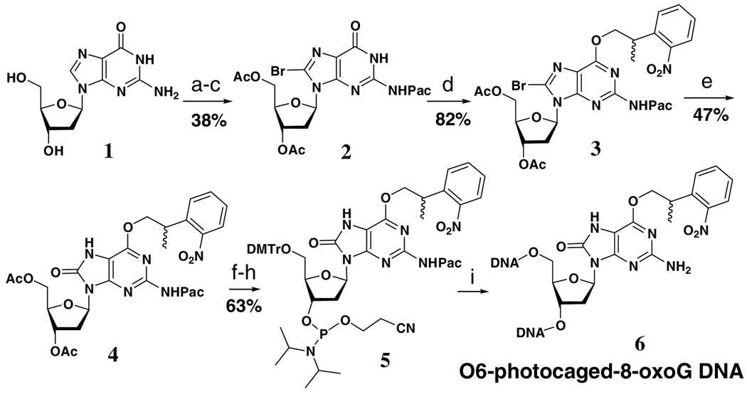 Scheme 1