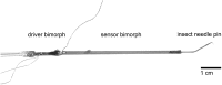 FIG. 1