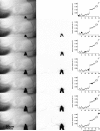 FIG. 6