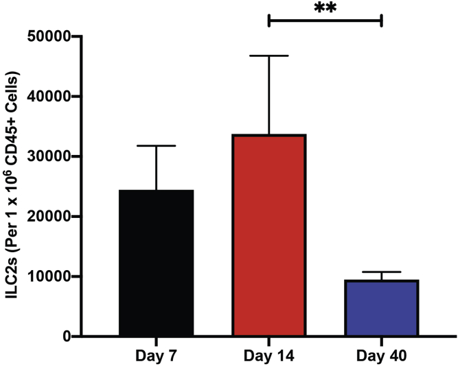 Figure 11