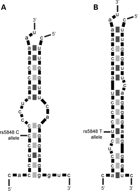 Figure 2.