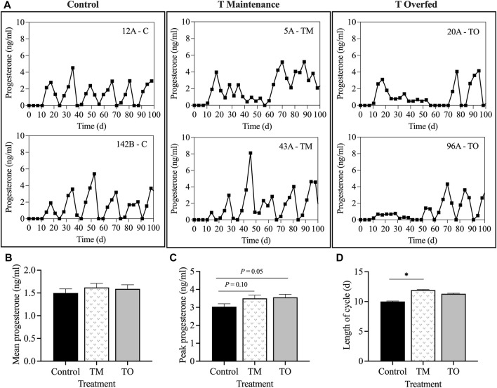 FIGURE 3