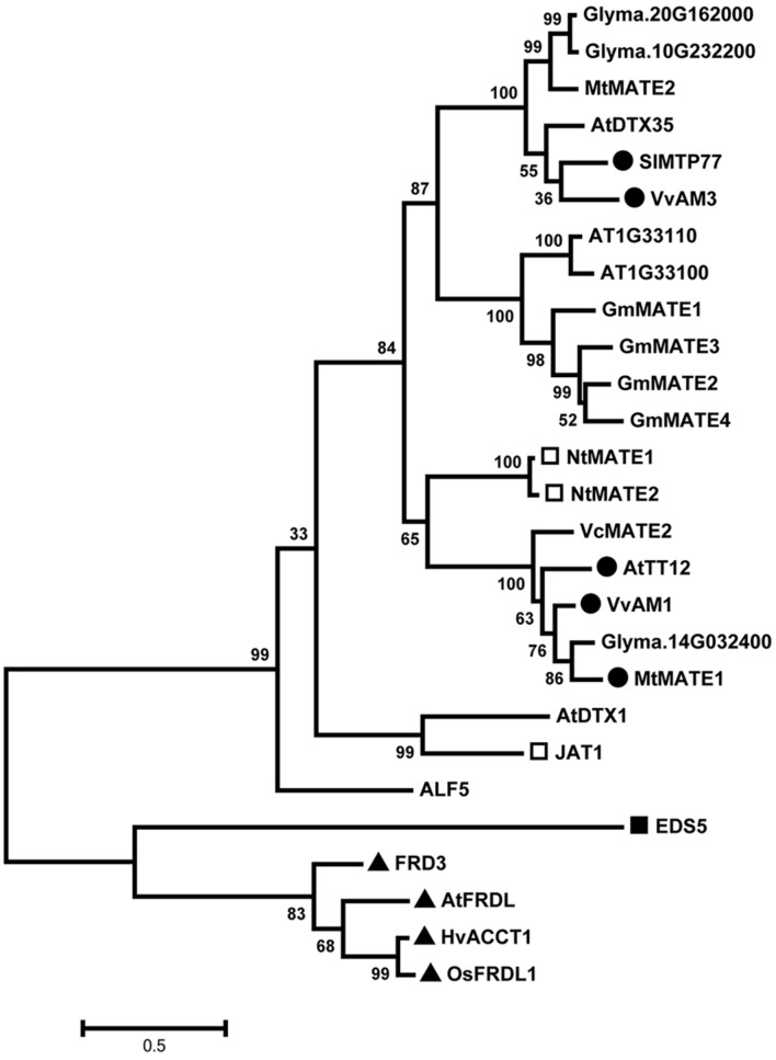 FIGURE 3