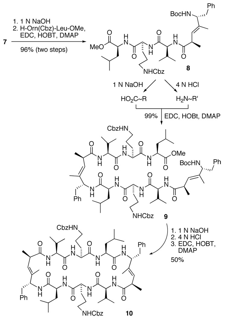 Scheme 2