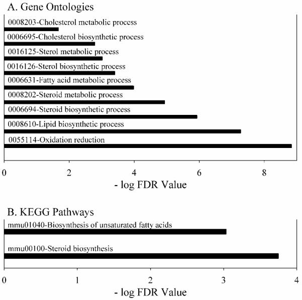 Fig. 11