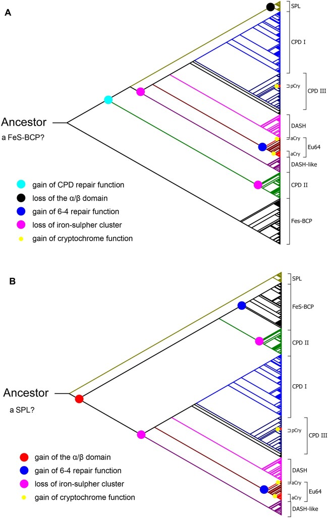 Fig. 6.