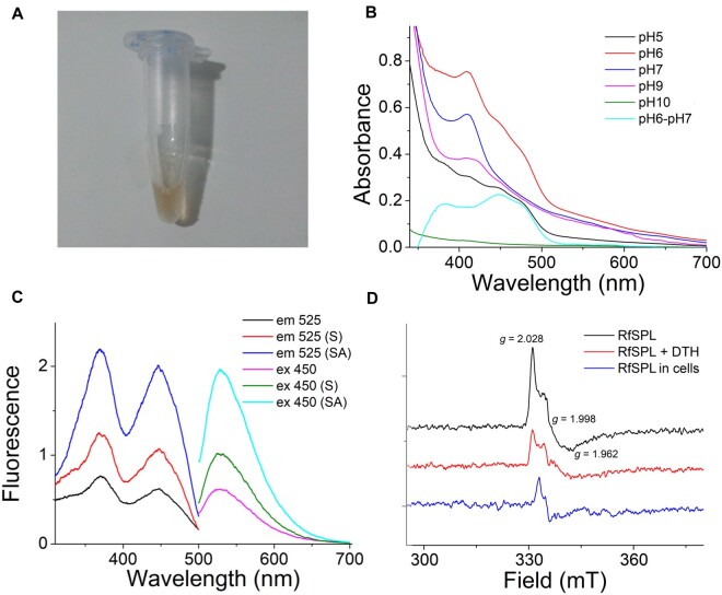 Fig. 4.