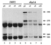FIG. 10