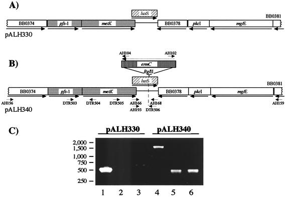 FIG. 1.